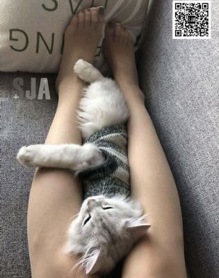 港剧网在线观看粤语剧_DVD神马影院在线