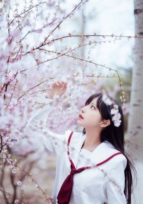 赵丽颖新剧《法医狂妃》_1080P免费高清观看